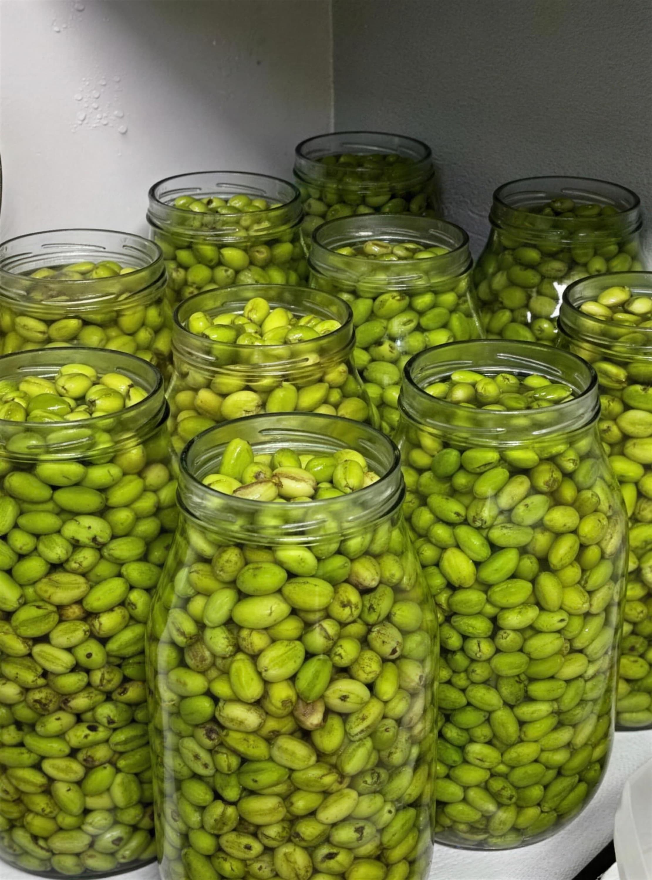 Glass jars filled to the top with our crushed green olives