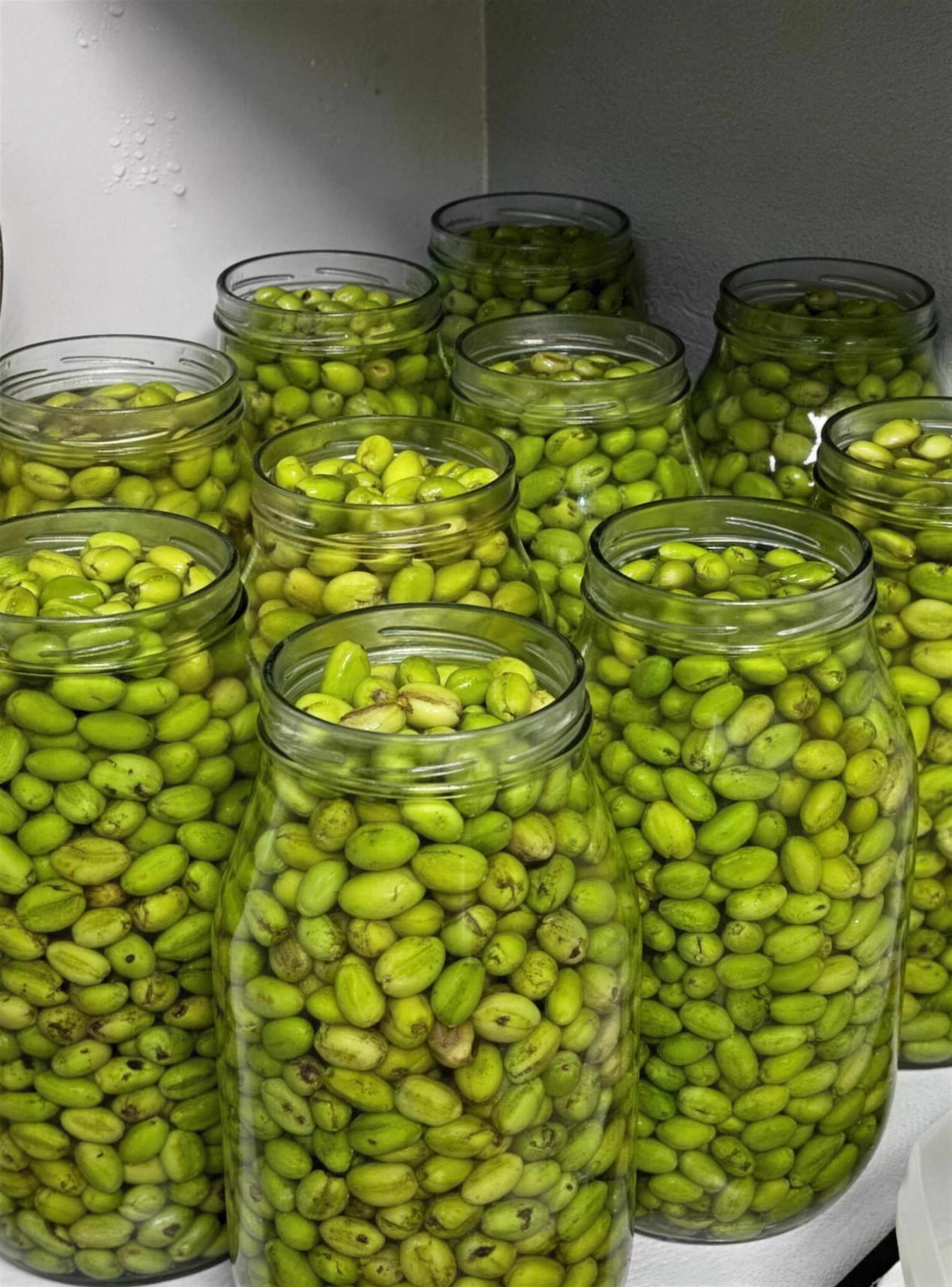 Glass jars filled to the top with cracked green olives